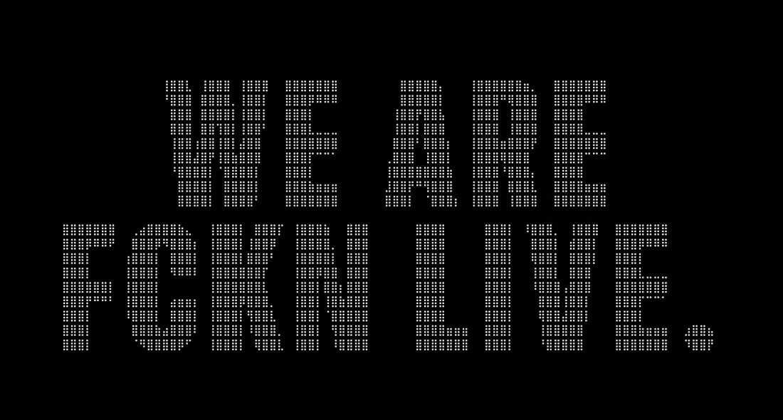 We are live terminal screen